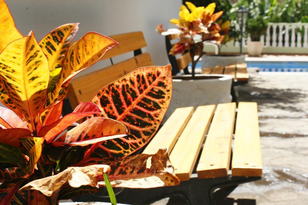 Apartamentos Nelly Valle Gran Rey Ngoại thất bức ảnh